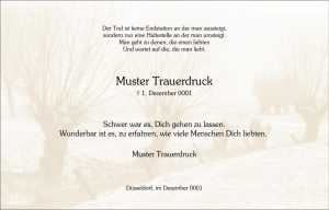 Traueranzeige auf Deutsch mit einem dezenten Hintergrund aus kahlen Bäumen. Das stilvolle Design drückt Mitgefühl für den Verlust eines geliebten Menschen aus und enthält das Datum 1. Dezember 0001 sowie den Ort Düsseldorf. Die Karte ist professionell gestaltet und eignet sich für Vogt & Kamp Bestattungen, Bestatter Düsseldorf, als Ausdruck einfühlsamer Begleitung im Rahmen einer Bestattung in Düsseldorf.