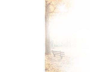 Unter hohen Bäumen steht eine hölzerne Bank in einem sanft von Sonnenlicht durchfluteten, nebligen Park. Das stimmungsvolle und lichtdurchflutete Ambiente vermittelt Ruhe und Trost – passend zur einfühlsamen Begleitung durch Vogt & Kamp Bestattungen in Düsseldorf. Ihre Bestatter in Düsseldorf schaffen im Rahmen einer pietätvollen Bestattung in Düsseldorf einen Ort der Erinnerung.
