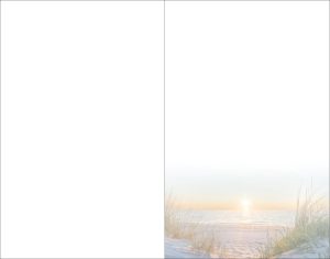 Ein sanft angedeuteter Sonnenaufgang über dem Meer mit Gräsern im Vordergrund unten rechts, eine dezente weiße Fläche mit einer feinen vertikalen Trennlinie – ein stilvolles, beruhigendes Motiv von Vogt & Kamp Bestattungen in Düsseldorf. Passend für Bestattungsunternehmen in Düsseldorf und Bestattungen in Düsseldorf.