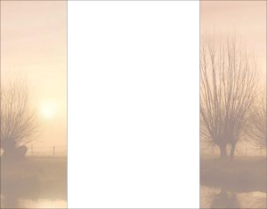 Stimmungsvolle Morgenlandschaft im sanften Nebel mit kahlen Bäumen und einem Zaun, in der Bildmitte durch einen breiten weißen Streifen begrenzt – eine symbolische Darstellung von Abschied und Neuanfang, passend für Vogt & Kamp Bestattungen in Düsseldorf. Ihr Bestatter in Düsseldorf begleitet Sie bei einer einfühlsamen Bestattung in Düsseldorf.